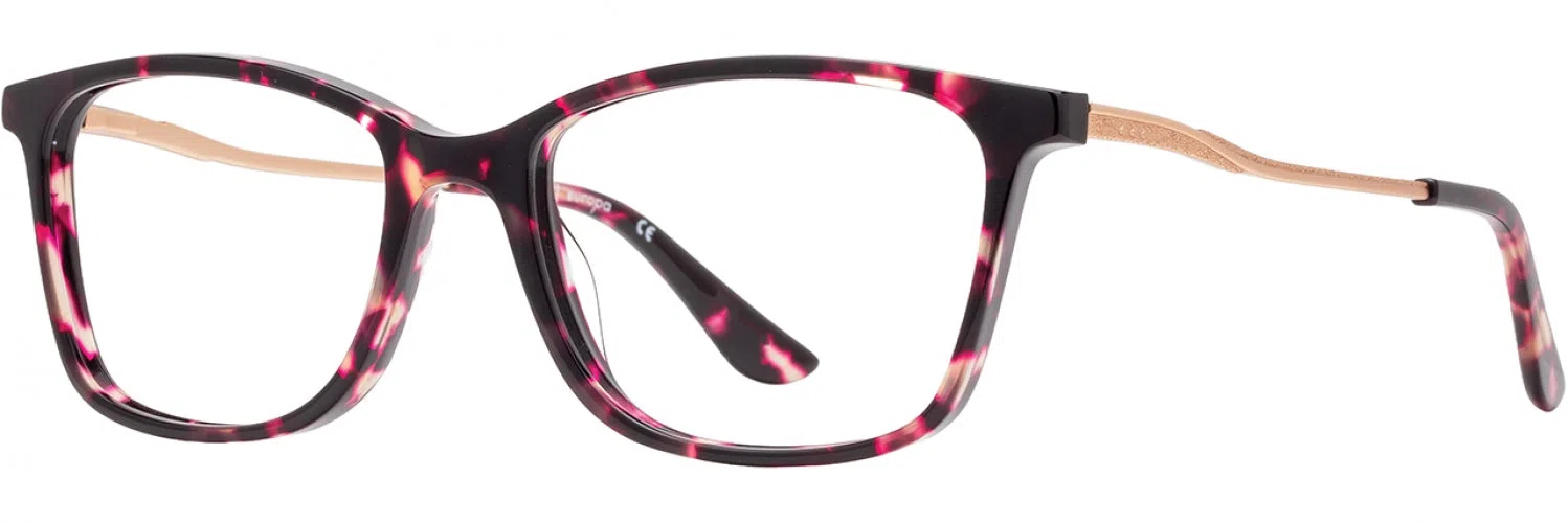 Cote DAzur CDA430 Eyeglasses - view 12
